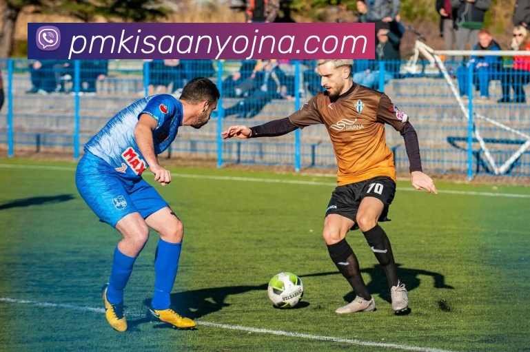 KS体育直播app最新版本更新内容平台生态图