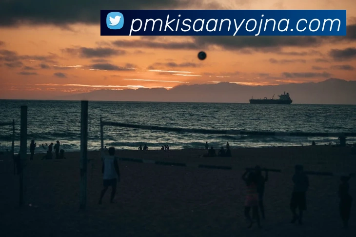 KS体育直播app最新版本更新内容全站App